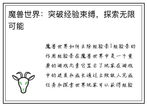 魔兽世界：突破经验束缚，探索无限可能